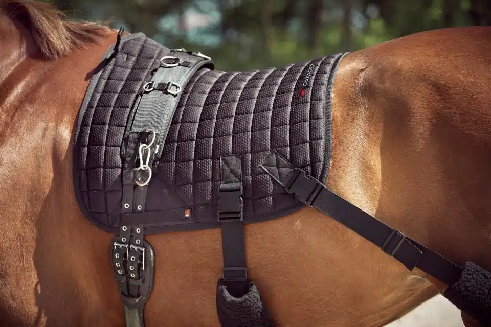 tränings schabrak med elastiska band från Catago med fir tech keramiska partiklar värmer upp muskler snabbare sätter igång blodcirkulationen banden hjälper hästen att jobba rätt med rygg och komma in med bakben svart fri frakt fraktfritt