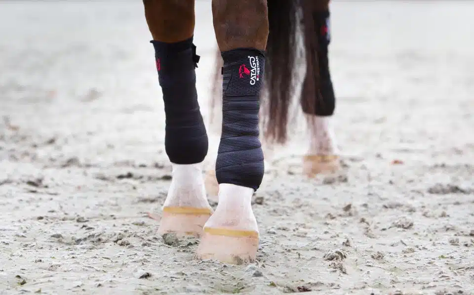 elastiska benlindor med fleecedel combi till häst 4-pack från catago med fir-tech teknologi för ökad blodcirkulation i senor ligament bra pris benskydd hästutrustning fri frakt fraktfritt