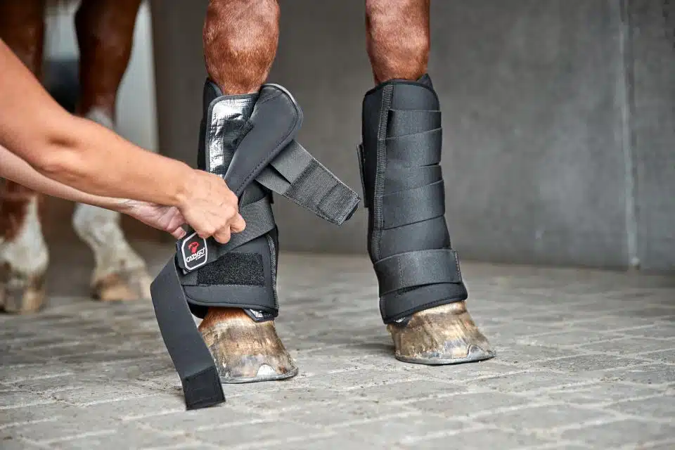 trevliga stallbandage stallskydd ytterhölje för att skydda hästens ben under transport eller i boxen transportskydd från catago fir-tech collection bra pris hästutrustning benskydd fri frakt fraktfritt