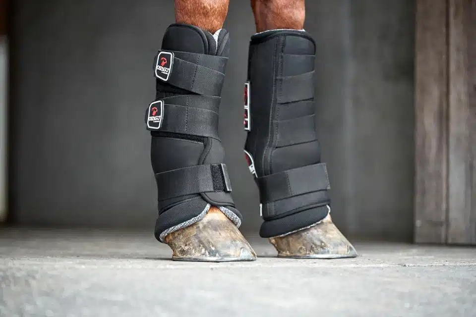trevliga stallbandage stallskydd ytterhölje för att skydda hästens ben under transport eller i boxen transportskydd från catago fir-tech collection bra pris hästutrustning benskydd fri frakt fraktfritt