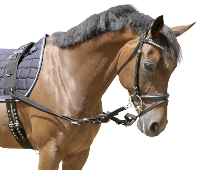 prisvärd billig inspänningstygel i nylon med gummiringar från covalliero vid longering för nybörjare bra pris hästutrustning