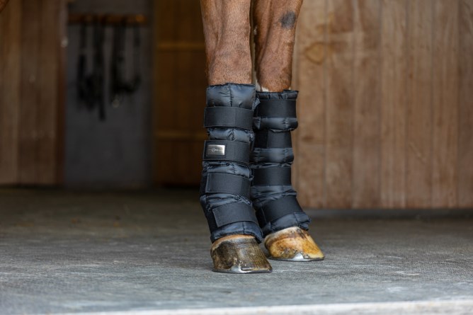 Kylpaddar och bandage till häst för vård av ben efter träning eller vid skada