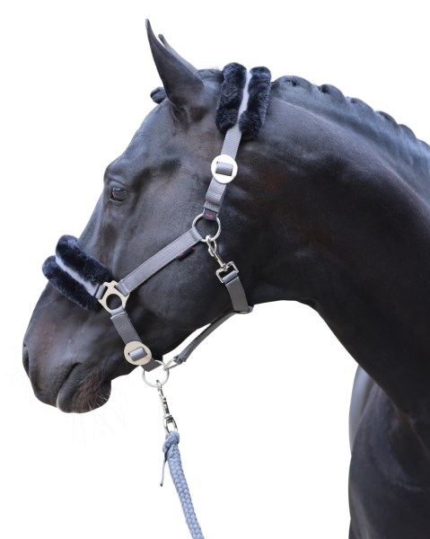 Nylongrimma Teddy - ClassicSoft