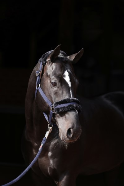 Nylongrimma Teddy - ClassicSoft - Bild 7