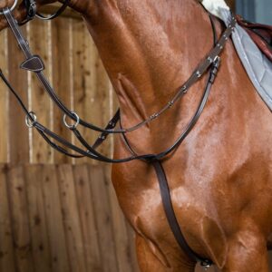 enkel martingal till häst i exklusivt läder från Dyon hög kvalité förhindrar hästen att gå med högt huvud