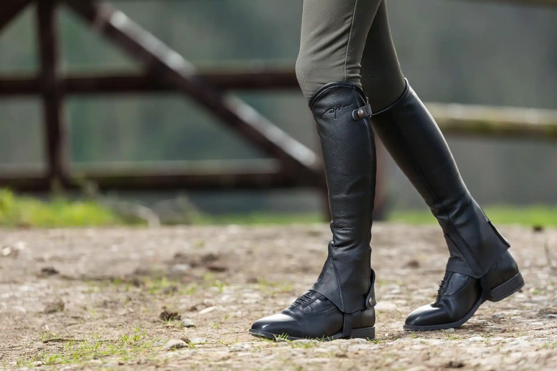 exklusiva läderchaps minichaps shortchaps till ryttare i läder classic från dyon hög kvalité