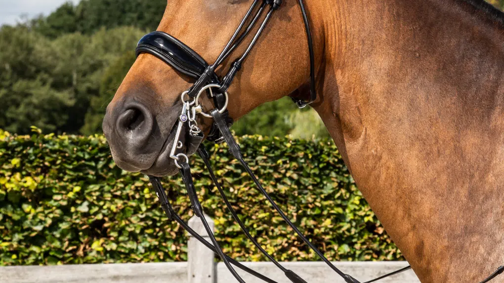 exklusiv bred nosgrimma pullback large till häst från dyon hög kvalité dressyr lackad