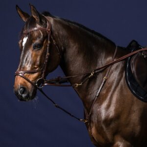 hjälptygel thiedemantygel enkel gramantygel till häst exklusivt läder från dyon hög kvalité får hästen att jobba rätt