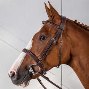 exklusivt träns till häst med klassisk bred engelsk nosgrimma från dyon hög kvalité hunter cavesson