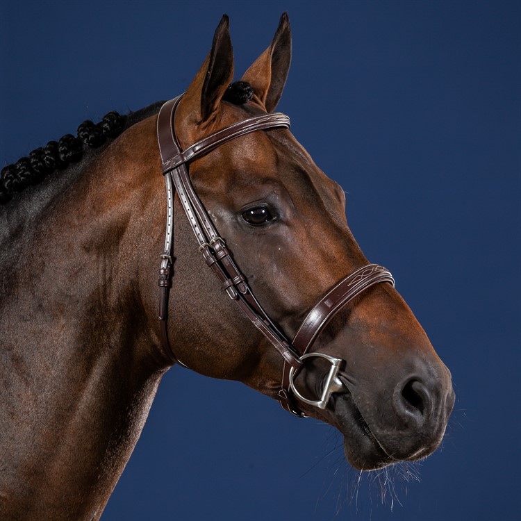 exklusivt träns till häst med klassisk bred engelsk nosgrimma från dyon hög kvalité hunter cavesson