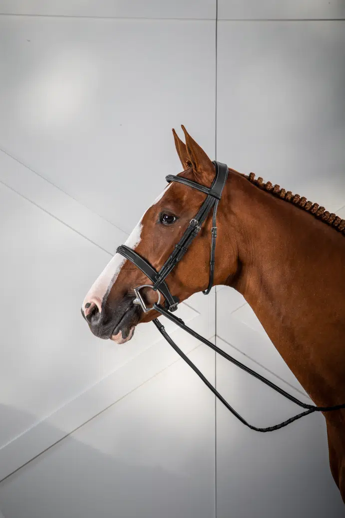 exklusivt träns till häst med klassisk bred engelsk nosgrimma från dyon hög kvalité hunter cavesson
