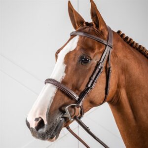 exklusivt träns till häst med klassisk bred engelsk nosgrimma från dyon hög kvalité hunter cavesson