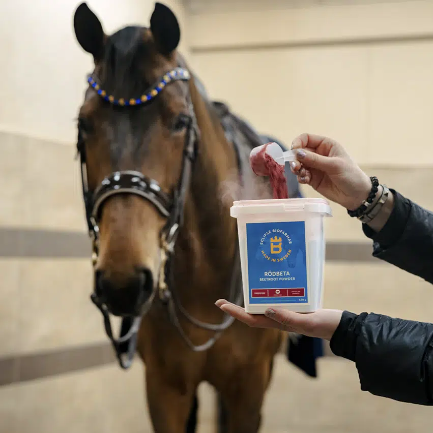 effektivt fodertillskott till häst från eclipse biofarmab för återhämtning och prestation vid hård träning och tävling 650g pulver rea kampanj