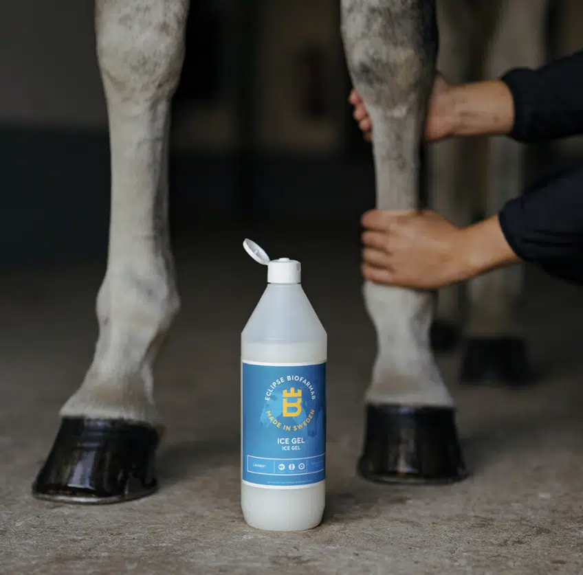 effektivt kylande liniment till häst människa från eclipse biofarmab ice gel 1000ml bra pris muskelvård för skada efter träning kyler snabbt senor leder