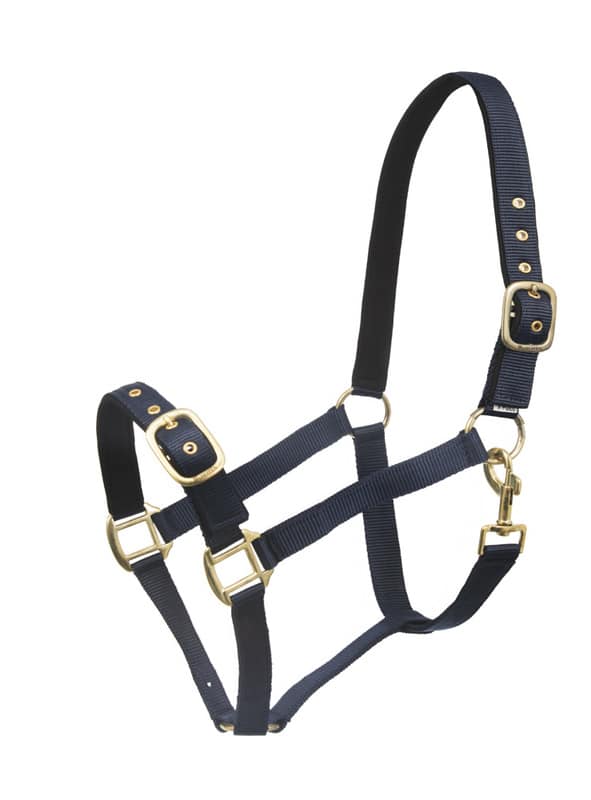 trevlig prisvärd nylongrimma justerbar över nos samt nacke fodrad för bättre komfort bra för unghäst öppen nos från horse comfort wahlsten bra pris hästutrustning travhäst