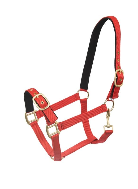 trevlig prisvärd nylongrimma justerbar över nos samt nacke fodrad för bättre komfort bra för unghäst öppen nos från horse comfort wahlsten bra pris hästutrustning travhäst