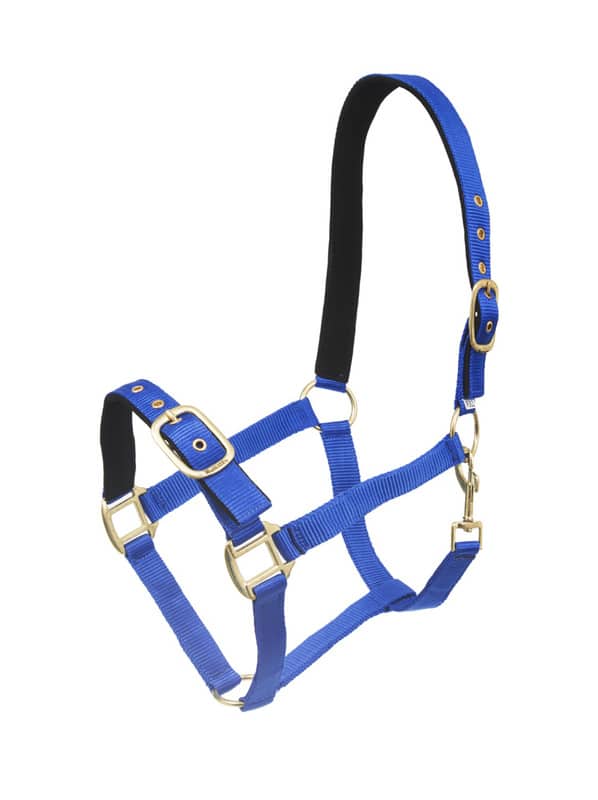 trevlig prisvärd nylongrimma justerbar över nos samt nacke fodrad för bättre komfort bra för unghäst öppen nos från horse comfort wahlsten bra pris hästutrustning travhäst