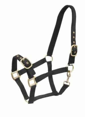 trevlig prisvärd nylongrimma justerbar över nos samt nacke fodrad för bättre komfort bra för unghäst öppen nos från horse comfort wahlsten bra pris hästutrustning travhäst
