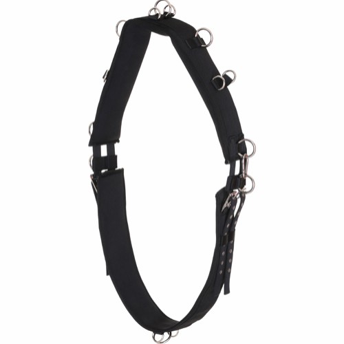 trevlig prisvärd longeringsgjort i neopren tömkörning träningsgjord för häst från horse guard enkel smidig bra pris ponny full cob fri frakt fraktfritt