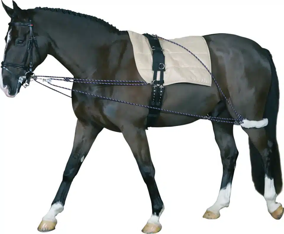 Longeringssystem till häst effektivt för att hästen skall jobba i rätt form komma ner med nacken och in med bakbenen upp med ryggen avslappnat från horse guard bra pris hästutrustning longering