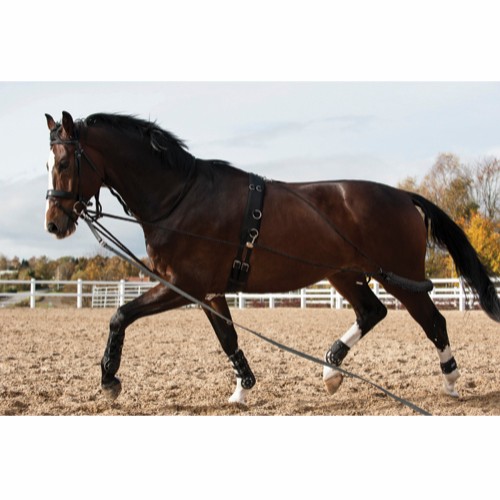 Longeringssystem till häst effektivt för att hästen skall jobba i rätt form komma ner med nacken och in med bakbenen upp med ryggen avslappnat från horse guard bra pris hästutrustning longering