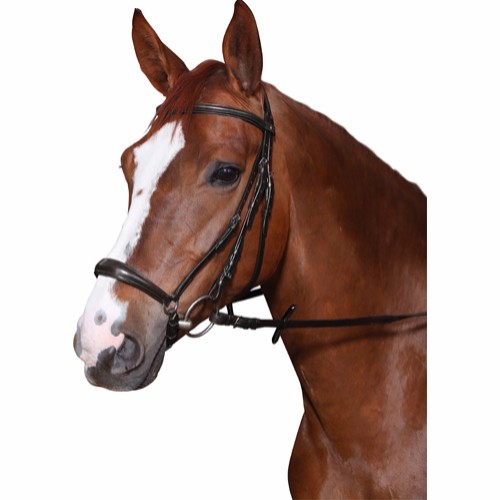 prisvärt stilrent träns med remontnosgrimma remontträns för unghästar från horse guard cryll inklusive tyglar supergriptygel bra pris hästutrustning fri frakt fraktfritt