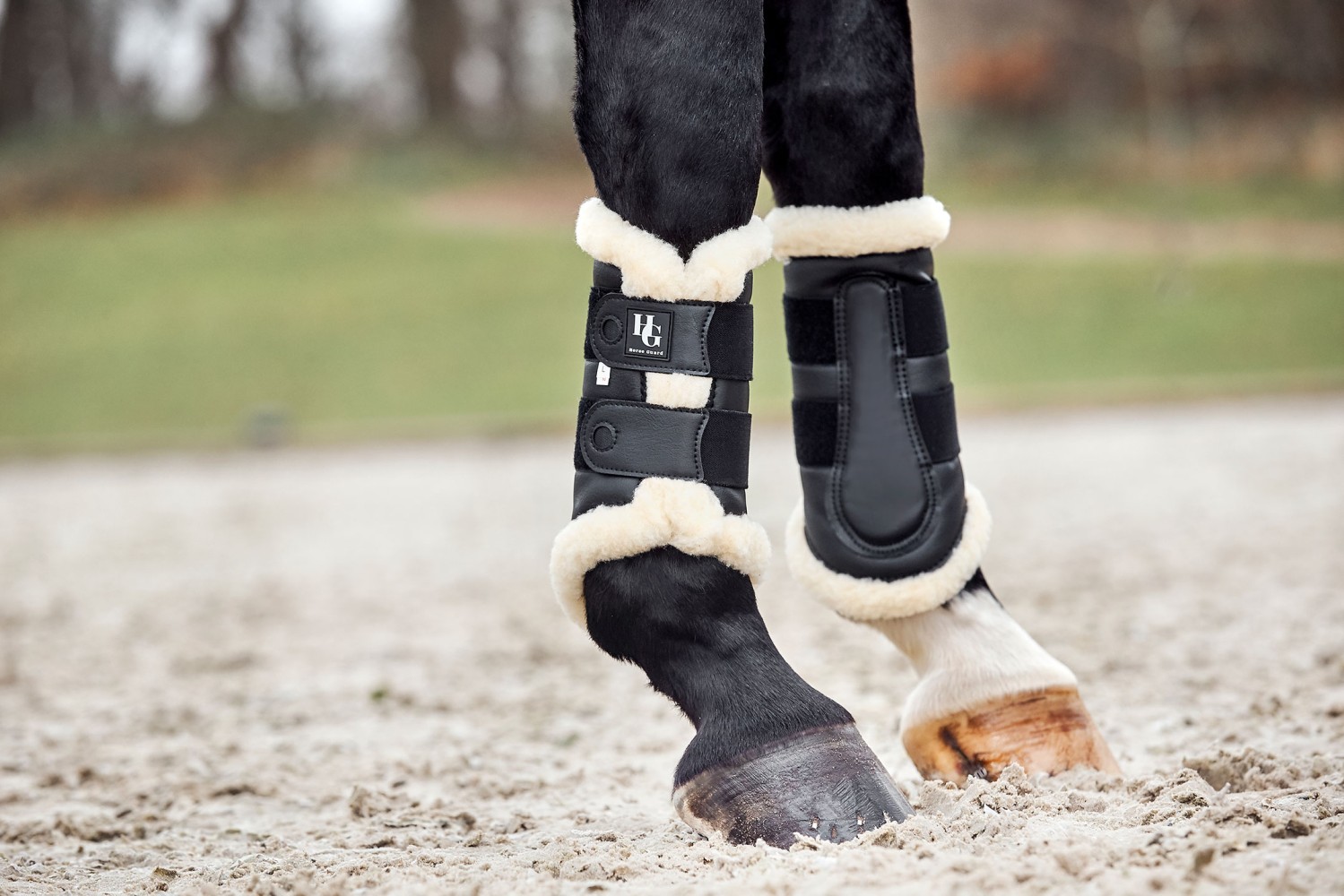 prisvärda strykkappor benskydd damasker med teddy foder till häst från horse guard skyddar mot slag strykningar skav på hästens ben vid ridning bra pris hästutrustning