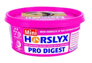 horslyx mini till häst 650g ges som belöning mineraler vid hovslagare veterinär populär prisvärd bra pris