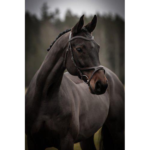 prisvärt anatomiskt träns till häst från knights lippo arthur anatomisk nosgrimma fodrat nackstycke bra passform bra pris hästutrustning träns