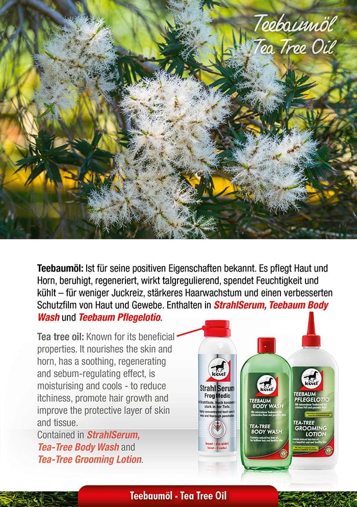 Schampo mot Klåda 500ml - Tea Tree - Bild 2