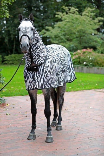 prisvärd billigt flugtäcke med hals och magplatta zebra mönster för häst motverkar irriterande flugor och insekter på sommaren från covalliero rugbe uv-skydd mot solen bra pris