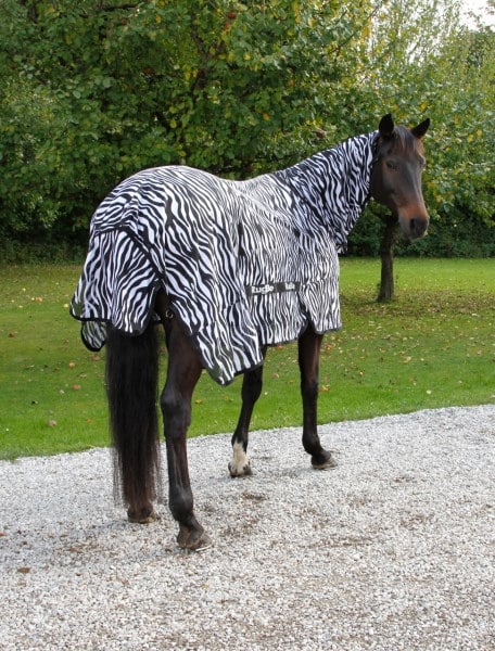 prisvärd billigt flugtäcke med hals och magplatta zebra mönster för häst motverkar irriterande flugor och insekter på sommaren från covalliero rugbe uv-skydd mot solen bra pris