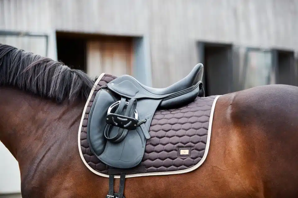 prisvärt dressyrschabrak till häst från horse guard kora med glansig yta bra passform cool dry foder transporterar bort svett värme bra pris hästutrustning sadeltillbehör