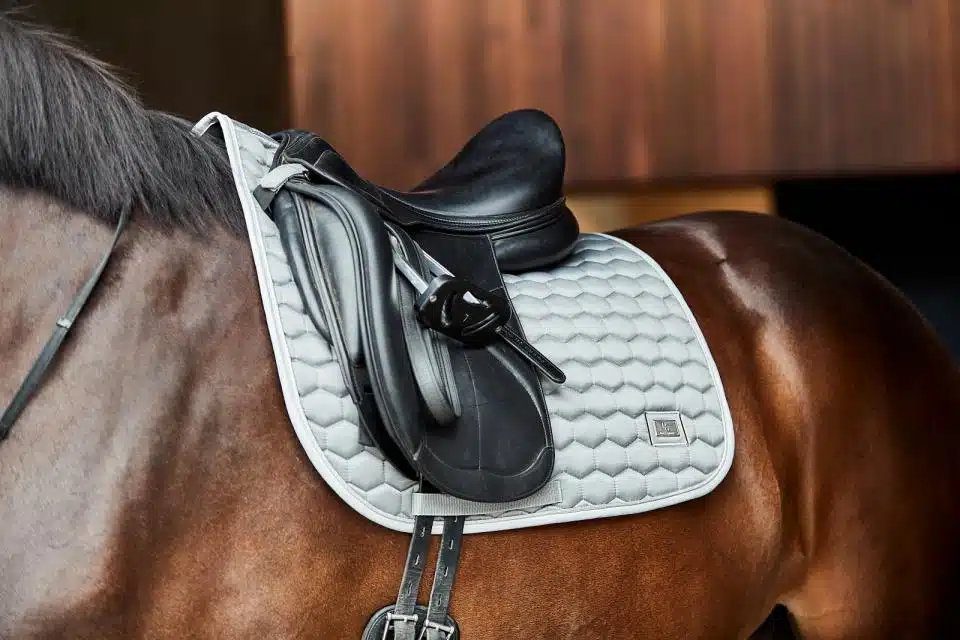 prisvärt dressyrschabrak till häst från horse guard kora med glansig yta bra passform cool dry foder transporterar bort svett värme bra pris hästutrustning sadeltillbehör