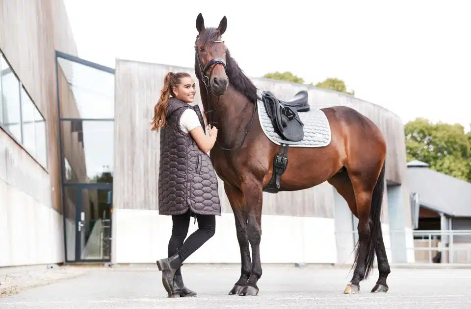 prisvärt dressyrschabrak till häst från horse guard kora med glansig yta bra passform cool dry foder transporterar bort svett värme bra pris hästutrustning sadeltillbehör