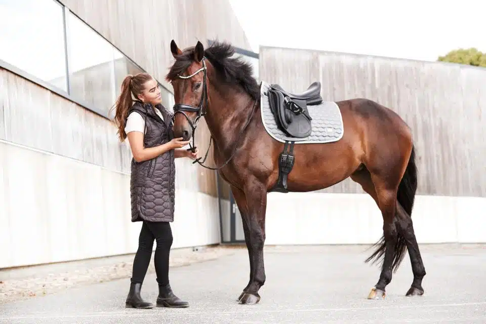 prisvärt dressyrschabrak till häst från horse guard kora med glansig yta bra passform cool dry foder transporterar bort svett värme bra pris hästutrustning sadeltillbehör