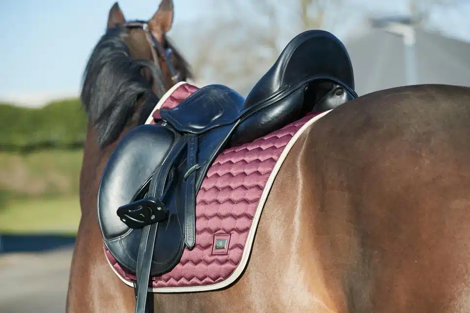 prisvärt dressyrschabrak till häst från horse guard kora med glansig yta bra passform cool dry foder transporterar bort svett värme bra pris hästutrustning sadeltillbehör