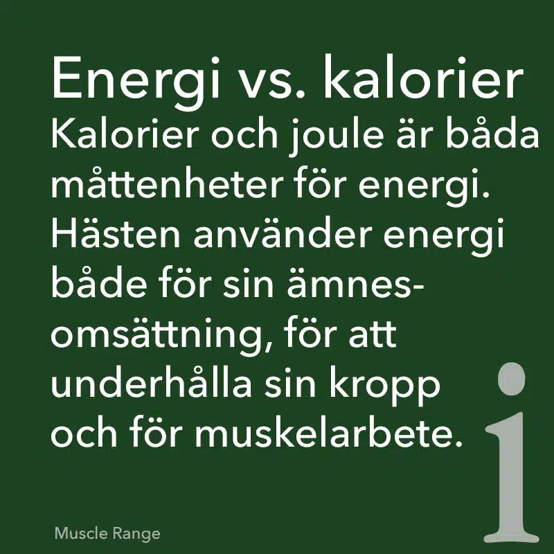 MUSCLE ENERGY BOOST 2,5l - ST HIPPOLYT - Bild 2