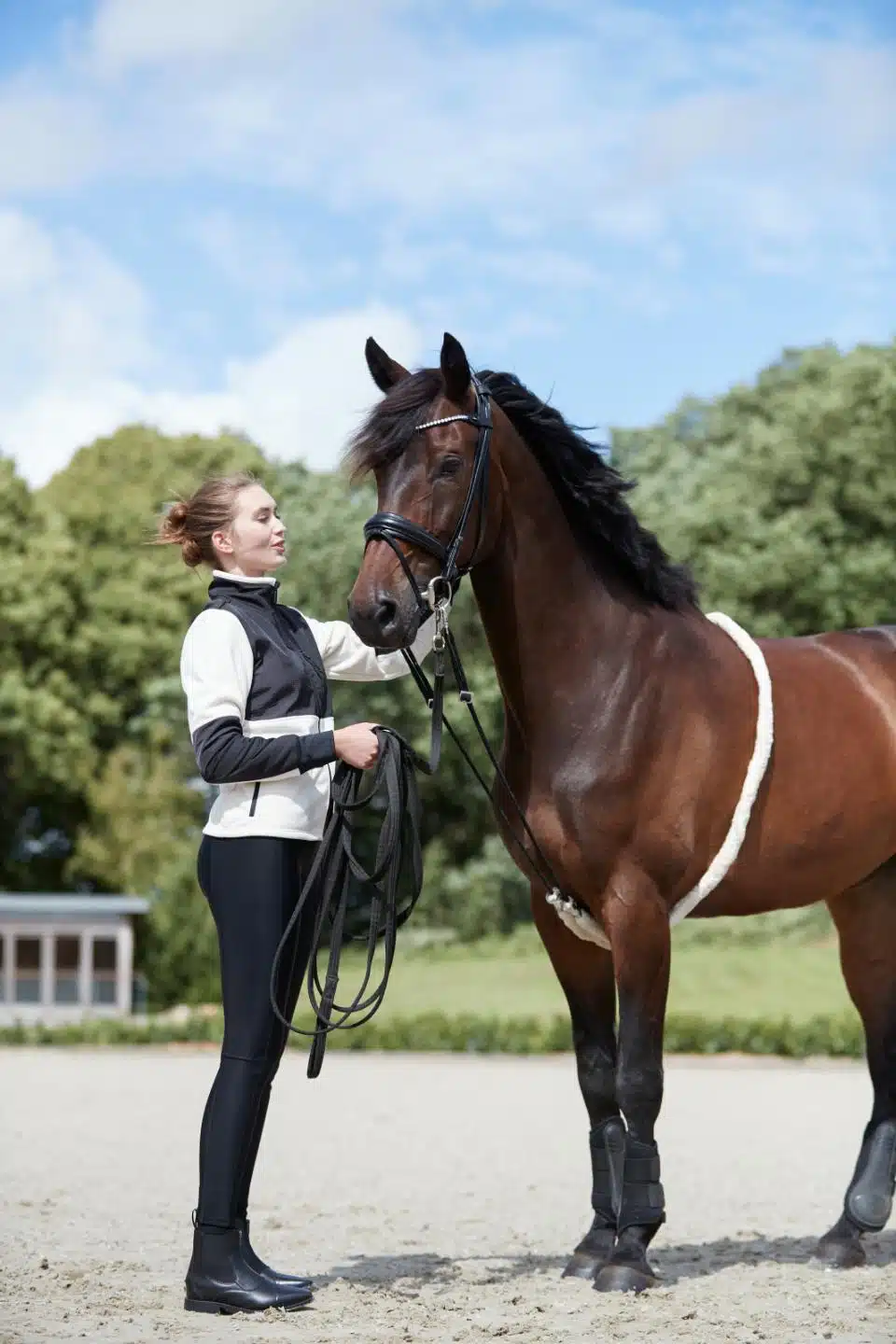 prisvärd billig inspänningstygel longeringshjälp till häst elastisk får hästen att sänka huvudet nacken från horse guard bra pris hästutrustning
