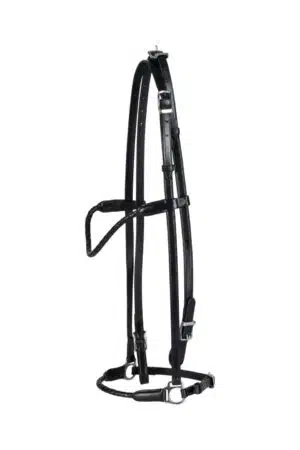 exklusivt stilrent islandsträns med fläta till häst från catago eldorado spännen över nacke cob bra pris