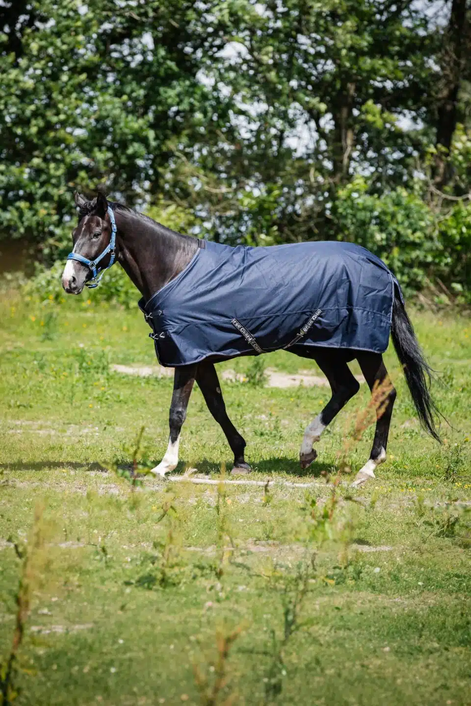 trevligt prisvärt utetäcke slitstarkt vintertäcke till häst 200g fyllning bra passform från horse guard landon turnout rug bra pris hästtäcke hästutrustning fri frakt fraktfritt