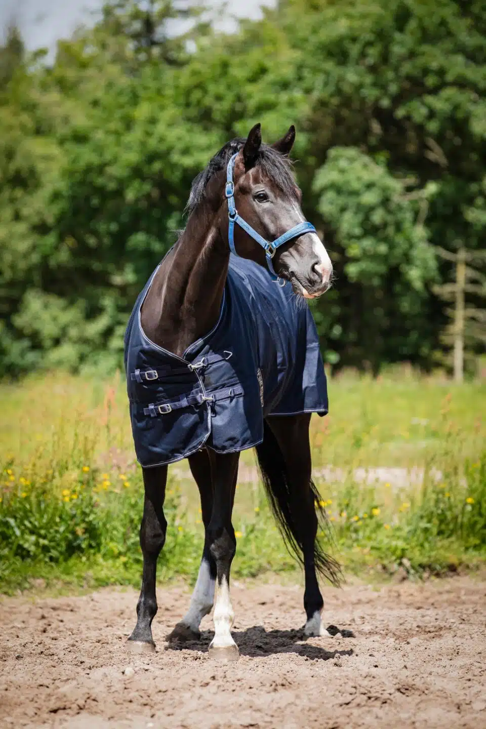 trevligt prisvärt utetäcke slitstarkt vintertäcke till häst 200g fyllning bra passform från horse guard landon turnout rug bra pris hästtäcke hästutrustning fri frakt fraktfritt