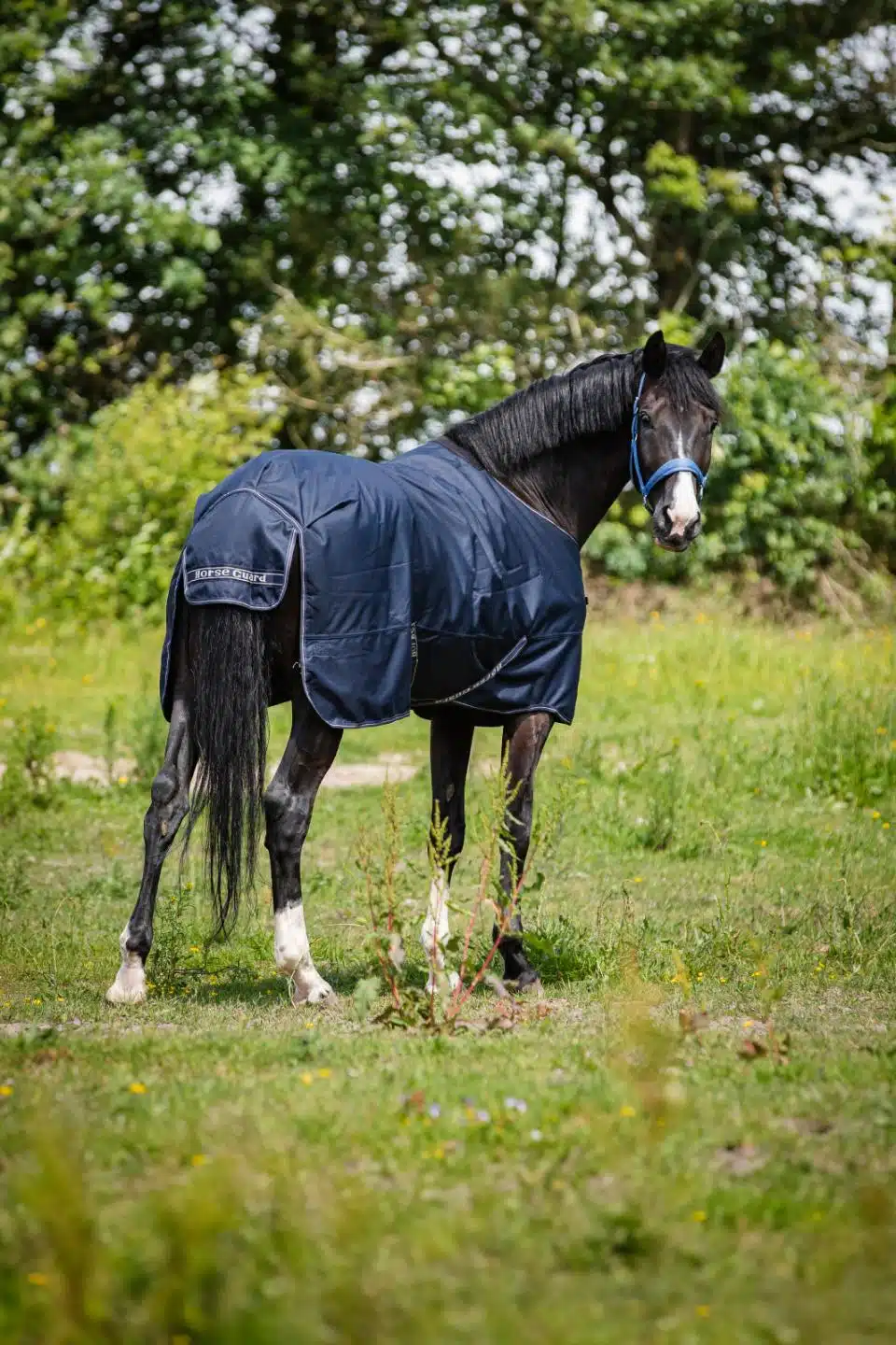 trevligt prisvärt utetäcke slitstarkt vintertäcke till häst 200g fyllning bra passform från horse guard landon turnout rug bra pris hästtäcke hästutrustning fri frakt fraktfritt