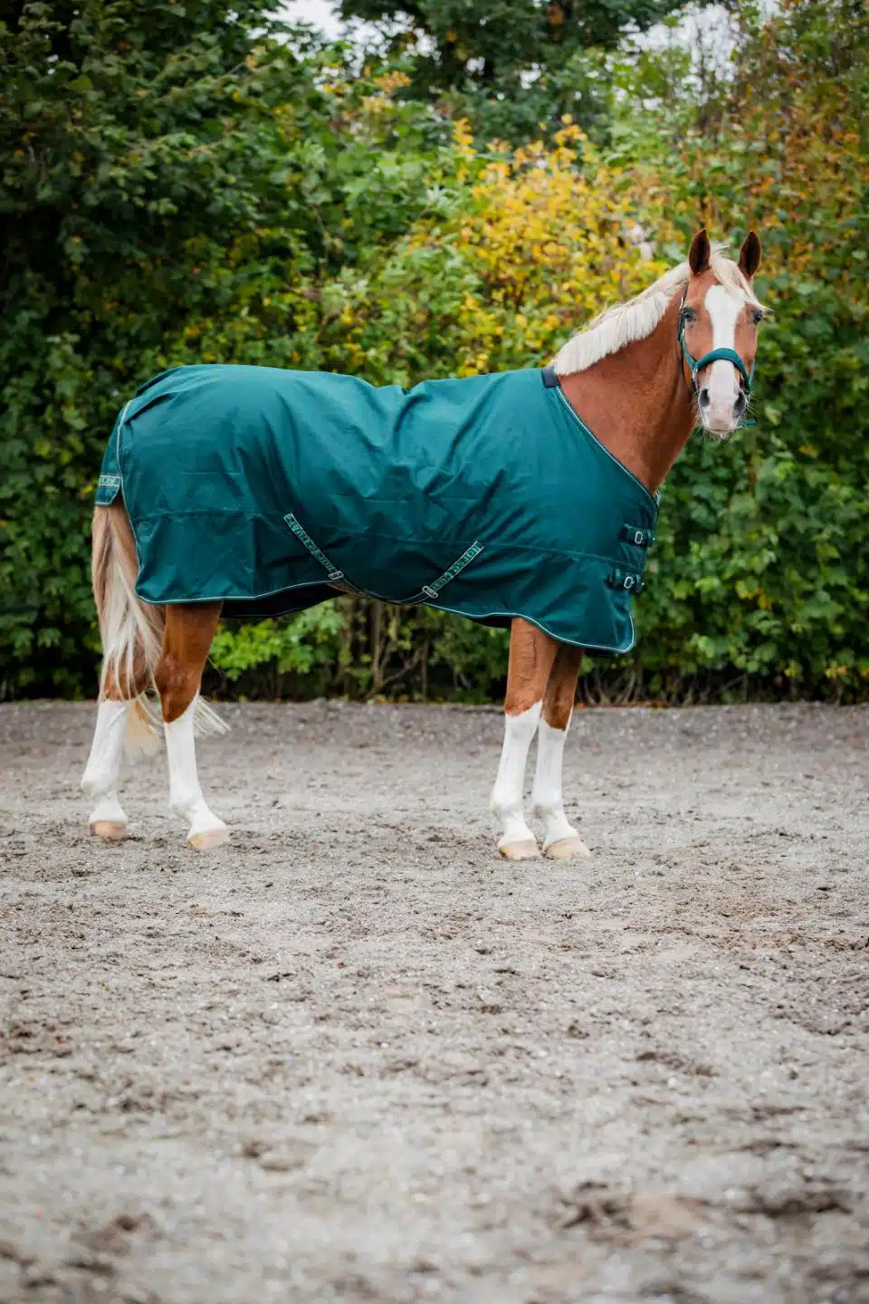 trevligt prisvärt utetäcke slitstarkt vintertäcke till häst 200g fyllning bra passform från horse guard landon turnout rug bra pris hästtäcke hästutrustning fri frakt fraktfritt