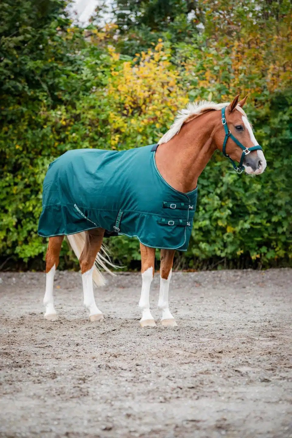 trevligt prisvärt utetäcke slitstarkt vintertäcke till häst 200g fyllning bra passform från horse guard landon turnout rug bra pris hästtäcke hästutrustning fri frakt fraktfritt