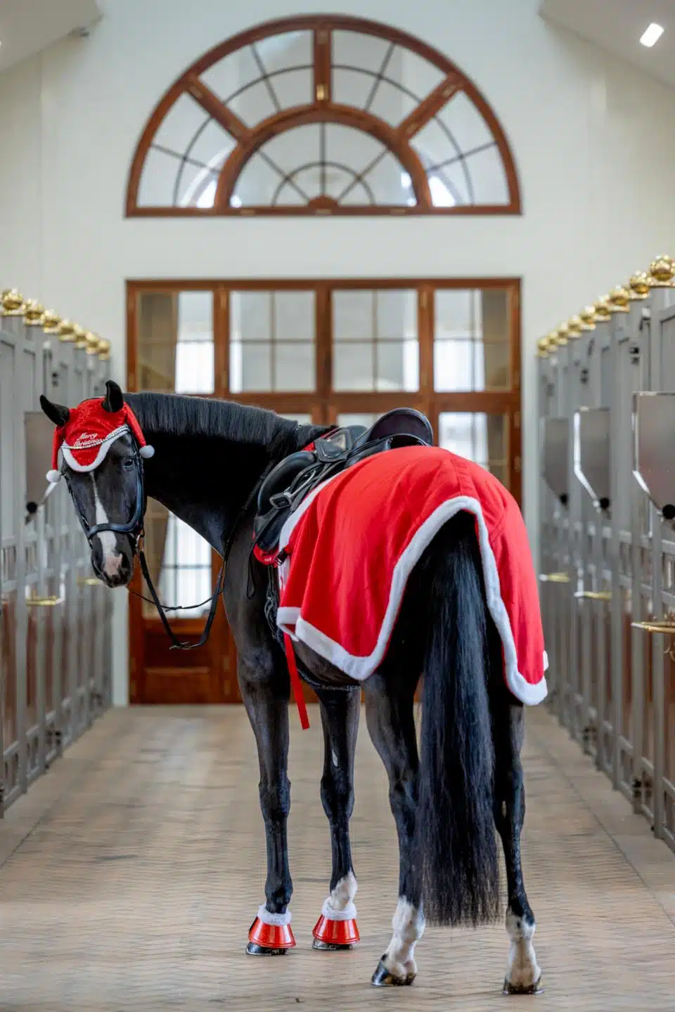 juligt ländtäcke i fleece till häst rött vitt perfekt för juluppvisning luciatåg hästutrustning bra pris från horse guard