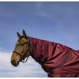 prisvärd halstäcke från equitheme för att fästa i utetäcke hästtäcke till häst tyrex 1200D 0g 200g bra passform pris hästutrustning