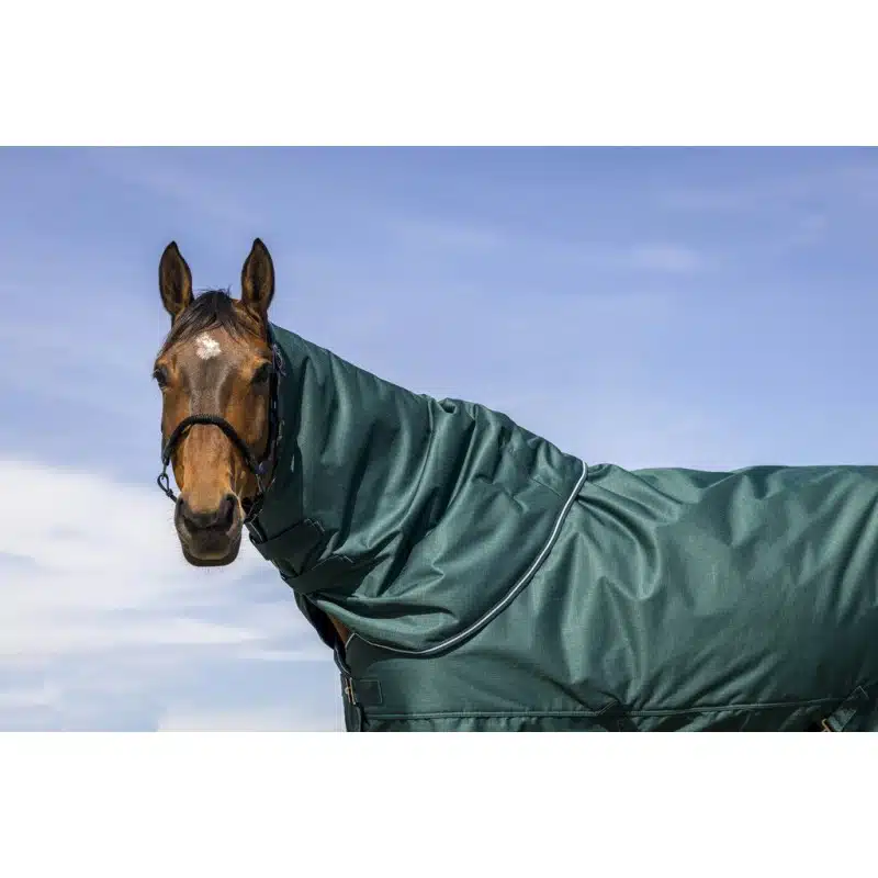 prisvärd halstäcke från equitheme för att fästa i utetäcke hästtäcke till häst tyrex 600D 0g 200g bra passform pris hästutrustning