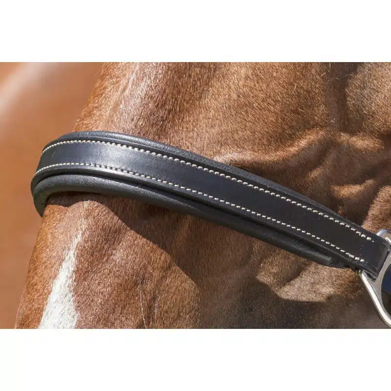 exklusiv lädergrimma fodrad från norton pro grooming med två snabbknäppen för enklare borstning bra pris hästutrustning namnskylt