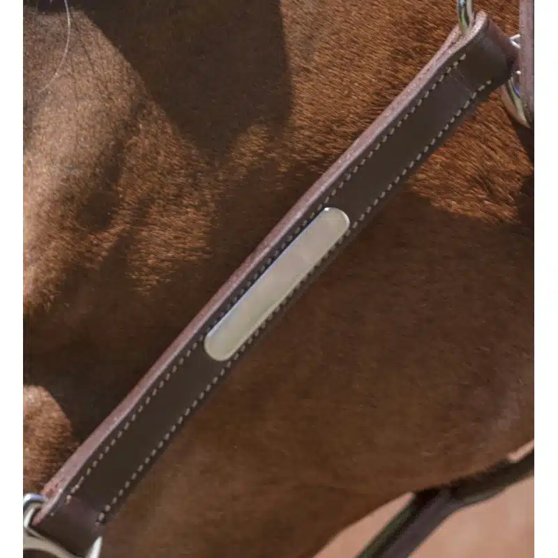 exklusiv lädergrimma fodrad från norton pro grooming med två snabbknäppen för enklare borstning bra pris hästutrustning namnskylt